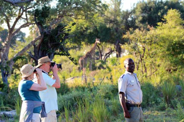 Safari things doing knew wish before Safari Travel Tips for Beginners
