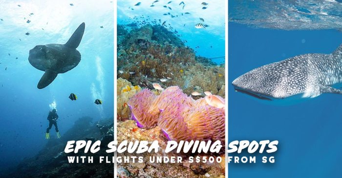 Affordable Scuba Diving Destinations