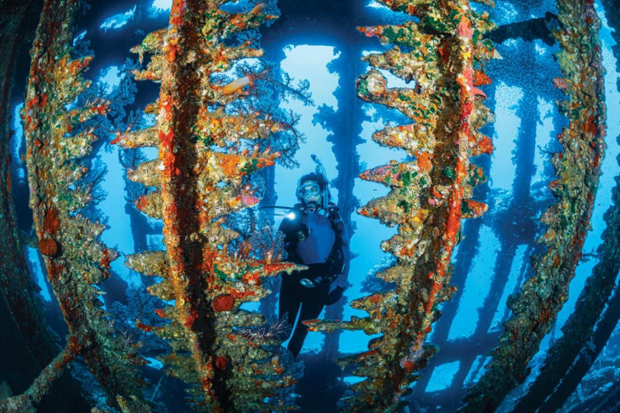 Best Scuba Diving Locations 2024