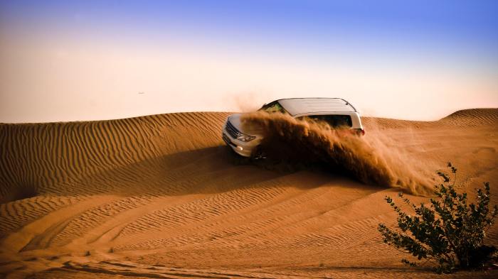 Desert Safari Tours and Expeditions