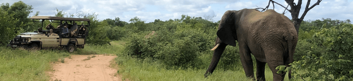 Safari tips travel safaribookings going when Safari Travel Tips for Beginners